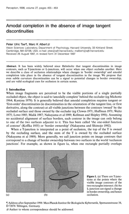 Amodal Completion in the Absence of Image Tangent Discontinuities