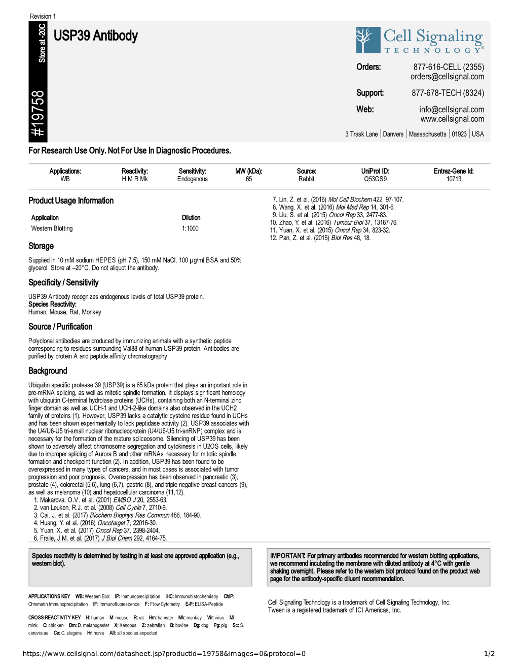 19758 USP39 Antibody