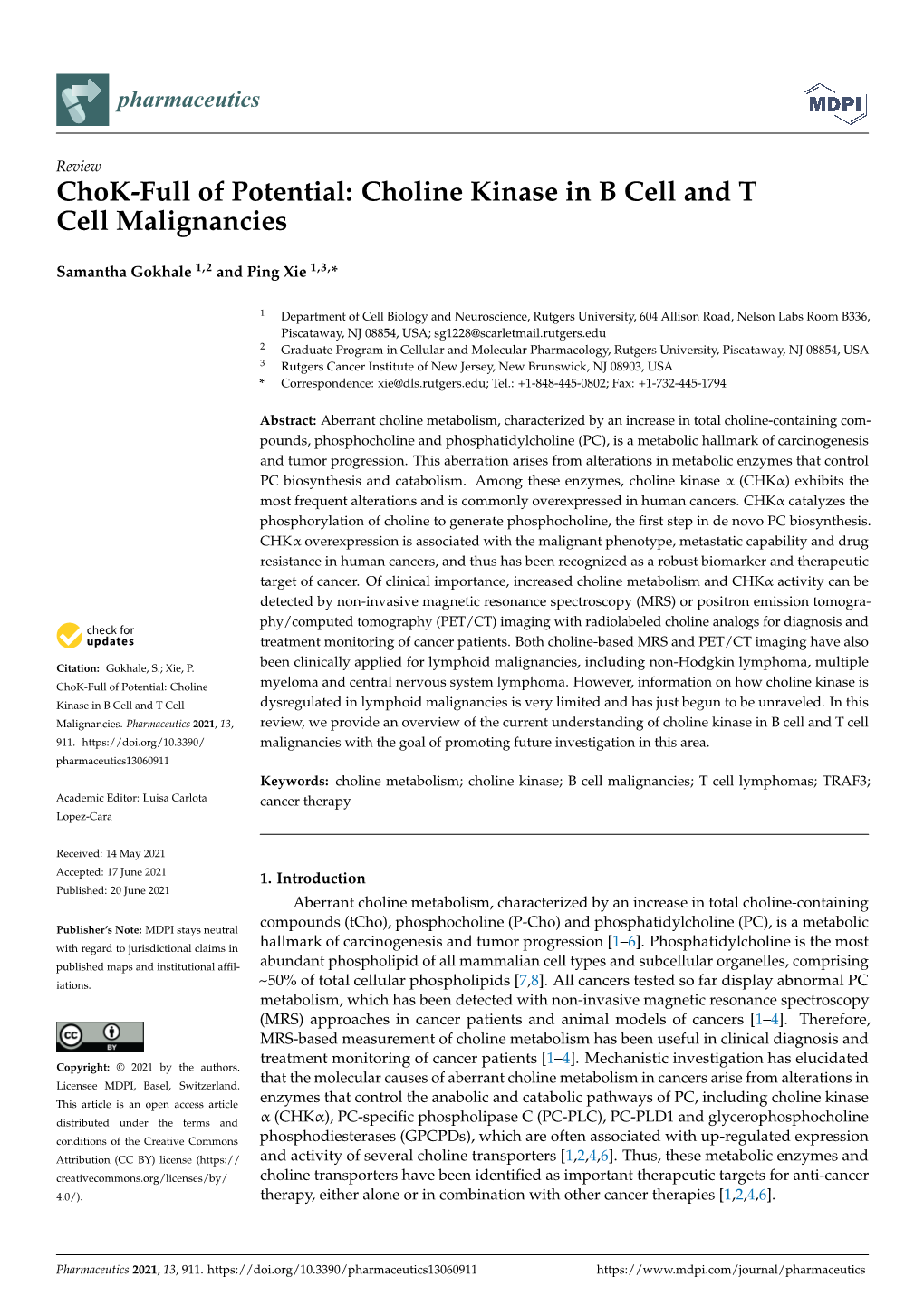 Chok-Full of Potential: Choline Kinase in B Cell and T Cell Malignancies