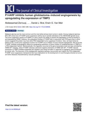 P14ARF Inhibits Human Glioblastoma–Induced Angiogenesis by Upregulating the Expression of TIMP3