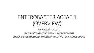 Enterobacteriaceae (Overview)