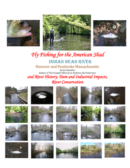 Fly Fishing for the American Shad at the Indian Head River