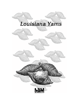 Louisiana Yams Louisiana Yams