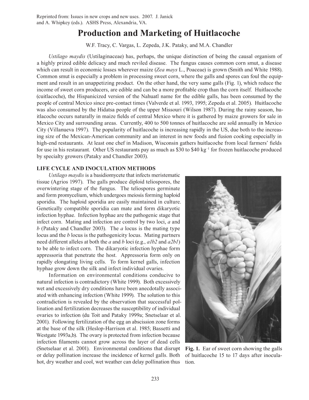 Production and Marketing of Huitlacoche W.F