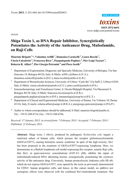 Shiga Toxin 1, As DNA Repair Inhibitor, Synergistically Potentiates the Activity of the Anticancer Drug, Mafosfamide, on Raji Cells