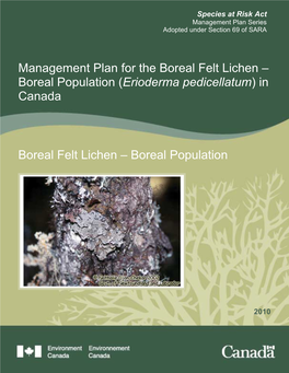 Boreal Felt Lichen (Erioderma Pedicellatum), Boreal Population