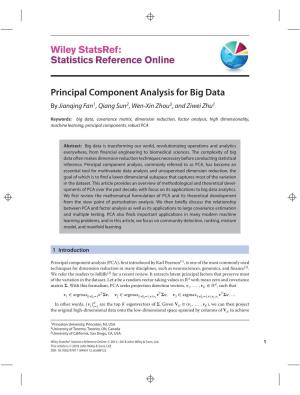 "Principal Component Analysis for Big Data" In