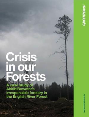 CRISIS in OUR FORESTS 2 Independent Auditors