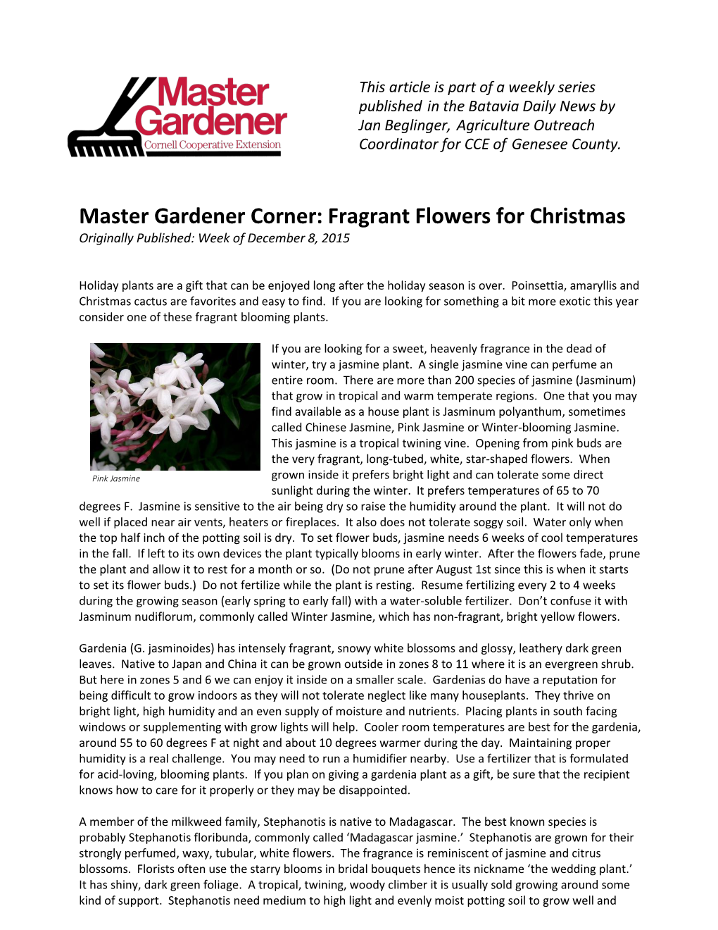 Master Gardener Corner: Fragrant Flowers for Christmas Originally Published: Week of December 8, 2015