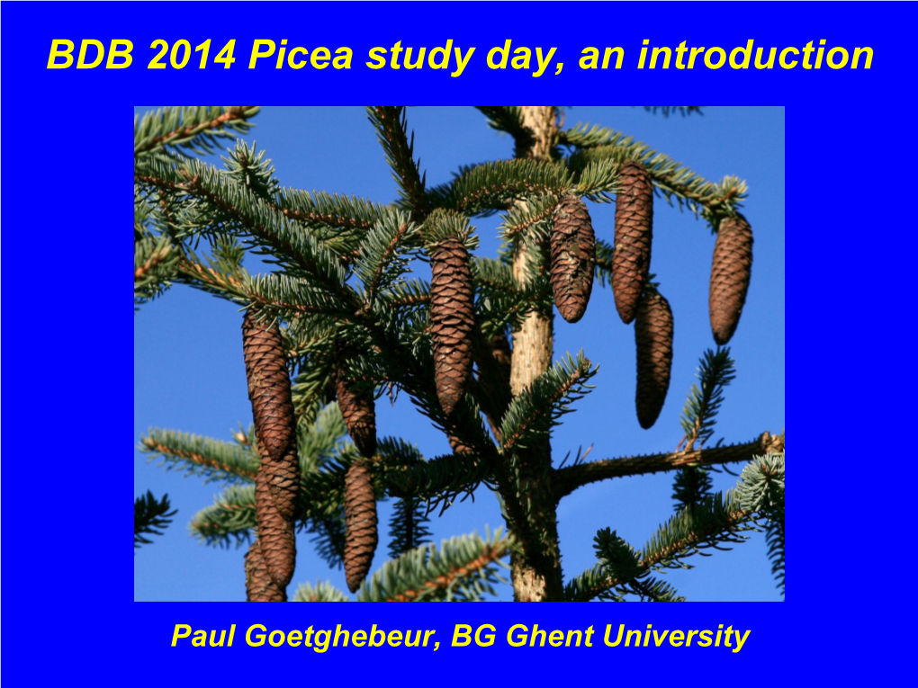 BDB 2014 Picea Study Day, an Introduction