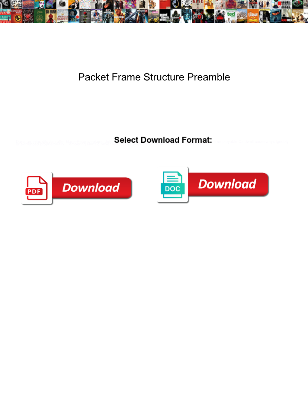 Packet Frame Structure Preamble