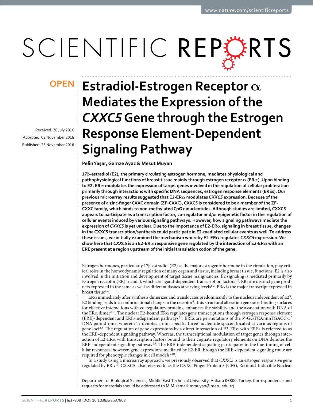 Estradiol-Estrogen Receptor Α Mediates the Expression of The