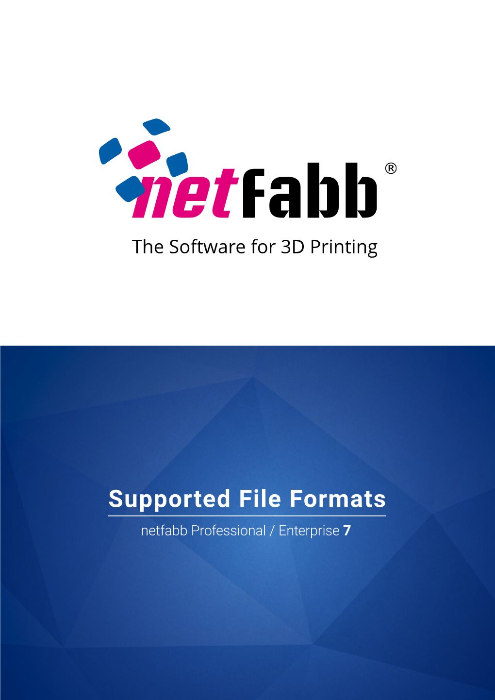 Supported File Formats Netfabb Professional / Enterprise 7 Supported File Formats Netfabb Professional / Enterprise 7