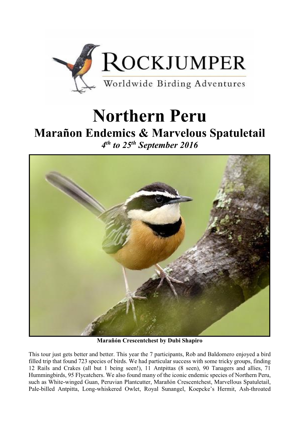 Northern Peru Marañon Endemics & Marvelous Spatuletail 4Th to 25Th September 2016