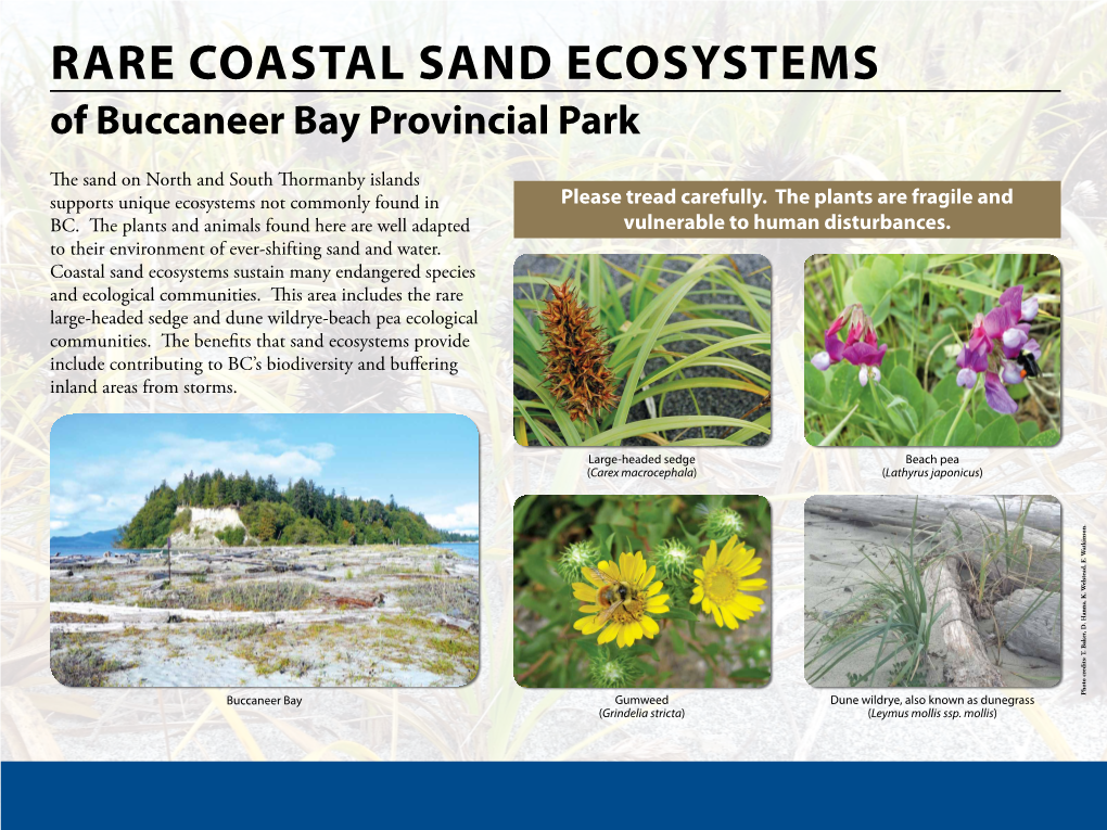 Rare Coastal Sand Ecosystems of the Boundary Bay Wildlife Management Area the Sand in Beach Grove Supports Unique Ecosystems Not Commonly Found in BC