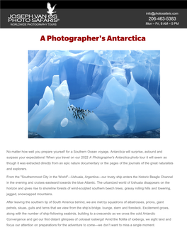 A Photographer's Antarctica