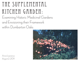 The Supplemental Kitchen Garden: Examining Historic Medicinal Gardens and Envisioning Their Framework Within Dumbarton Oaks