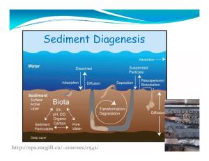 Sediment Diagenesis