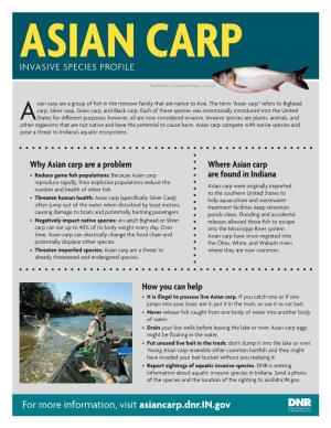 Asian Carp Factsheet