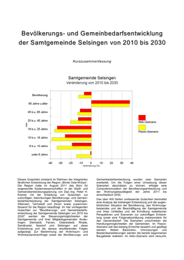 Selsingen 2030 Kurzzusammenfassung