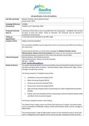 Job Specification, Terms & Conditions Job Title and Grade Medical