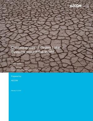 Consequences of Drying Lake Systems Around the World