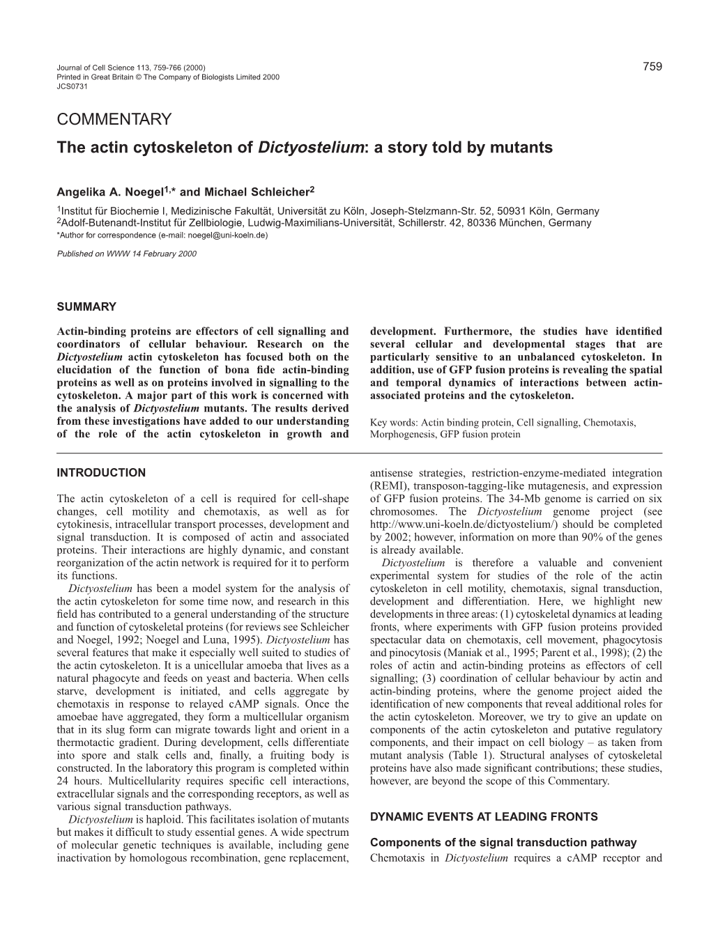 The Actin Cytoskeleton of Dictyostelium: a Story Told by Mutants