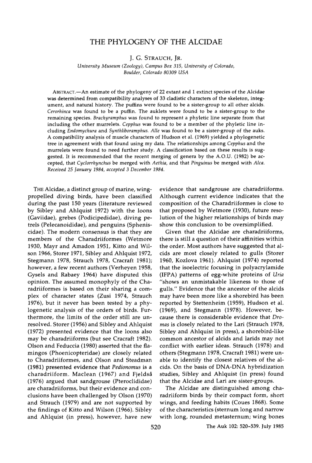 The Phylogeny of the Alcidae