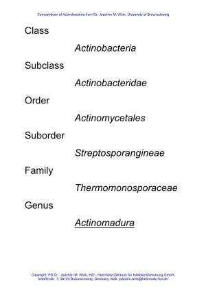 Class Actinobacteria Subclass Actinobacteridae Order Actinomycetales Suborder Streptosporangineae Family Thermomonosporaceae Genus Actinomadura