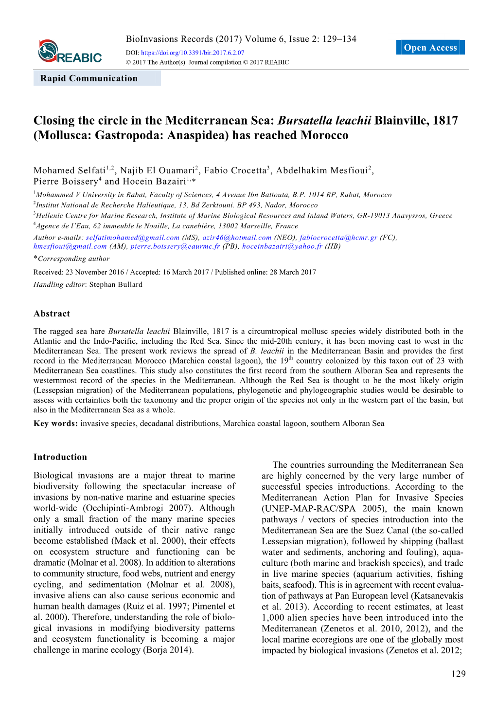 Bursatella Leachii Blainville, 1817 (Mollusca: Gastropoda: Anaspidea) Has Reached Morocco