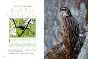 Birding Angola Breaking New Ground