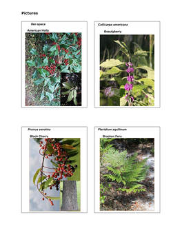 Upland & Pollinator Plants Flip Book