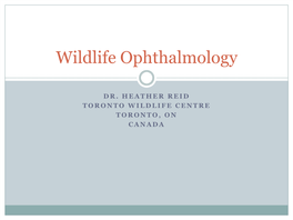 Wildlife Ophthalmology
