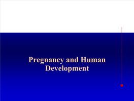 Pregnancy and Human Development from Egg to Embryo