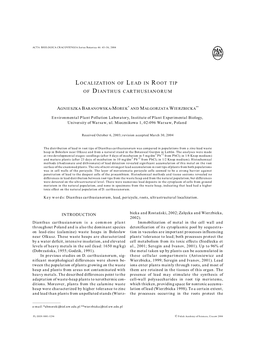 Localization of Lead in Root Tip of Dianthus Carthusianorum