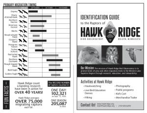 Raptors in Flight ID Brochure