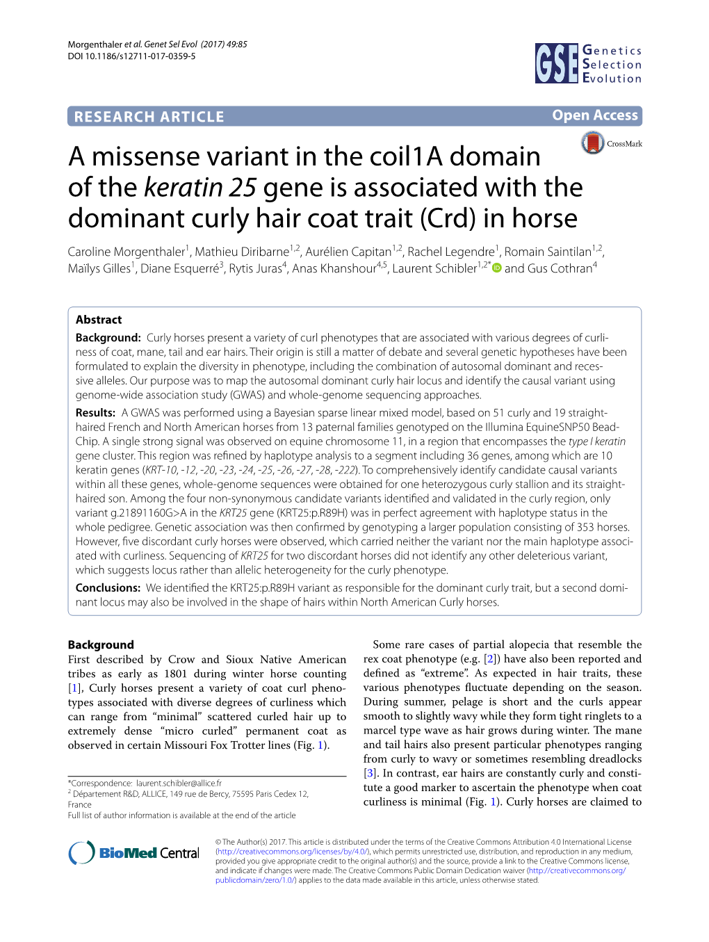 A Missense Variant in the Coil1a Domain of the Keratin 25 Gene Is