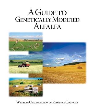 WORC's Guide to Genetically Modified Alfalfa