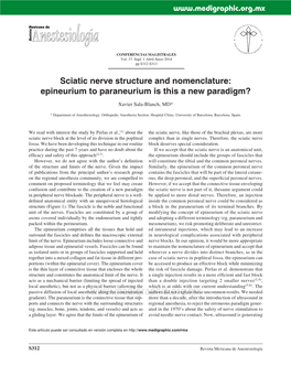 Sciatic Nerve Structure and Nomenclature: Epineurium to Paraneurium Is This a New Paradigm?