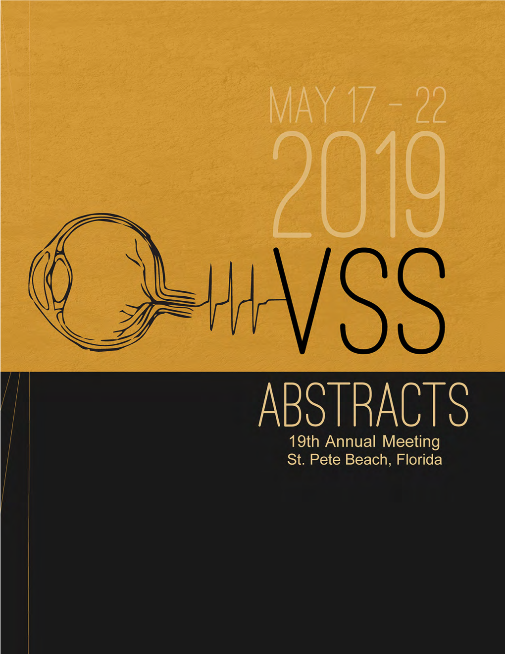 2019 Abstracts Sessions Overiew