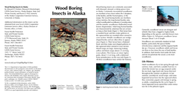 Wood Boring Insects in Alaska Wood Boring Insects Are Commonly Associated Figure 2