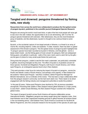 Penguin Bycatch Press Release