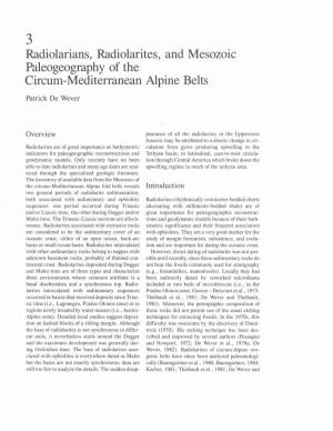 Radiolarians, Radiolarites, and Mesozoic Paleogeography of the Circum-Mediterranean Alpine Belts