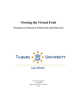 Protecting User Interests in Virtual Goods Under Dutch Law