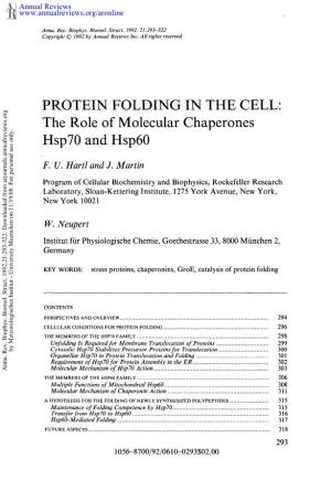 PROTEIN FOLDING in the CELL: the Role of Molecular Chaperones Hsp70 and Hsp60