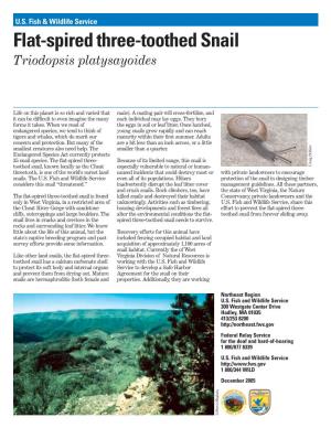 Flat-Spired Three-Toothed Snail Triodopsis Platysayoides