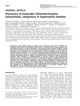 Discovery of Anaerobic Lithoheterotrophic Haloarchaea, Ubiquitous in Hypersaline Habitats