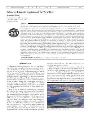 Submerged Aquatic Vegetation of the York River Kenneth A