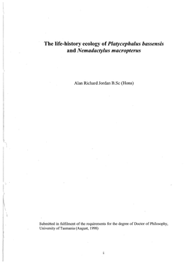 The Life History of Platycephalus Bassensis and Nemadactylus