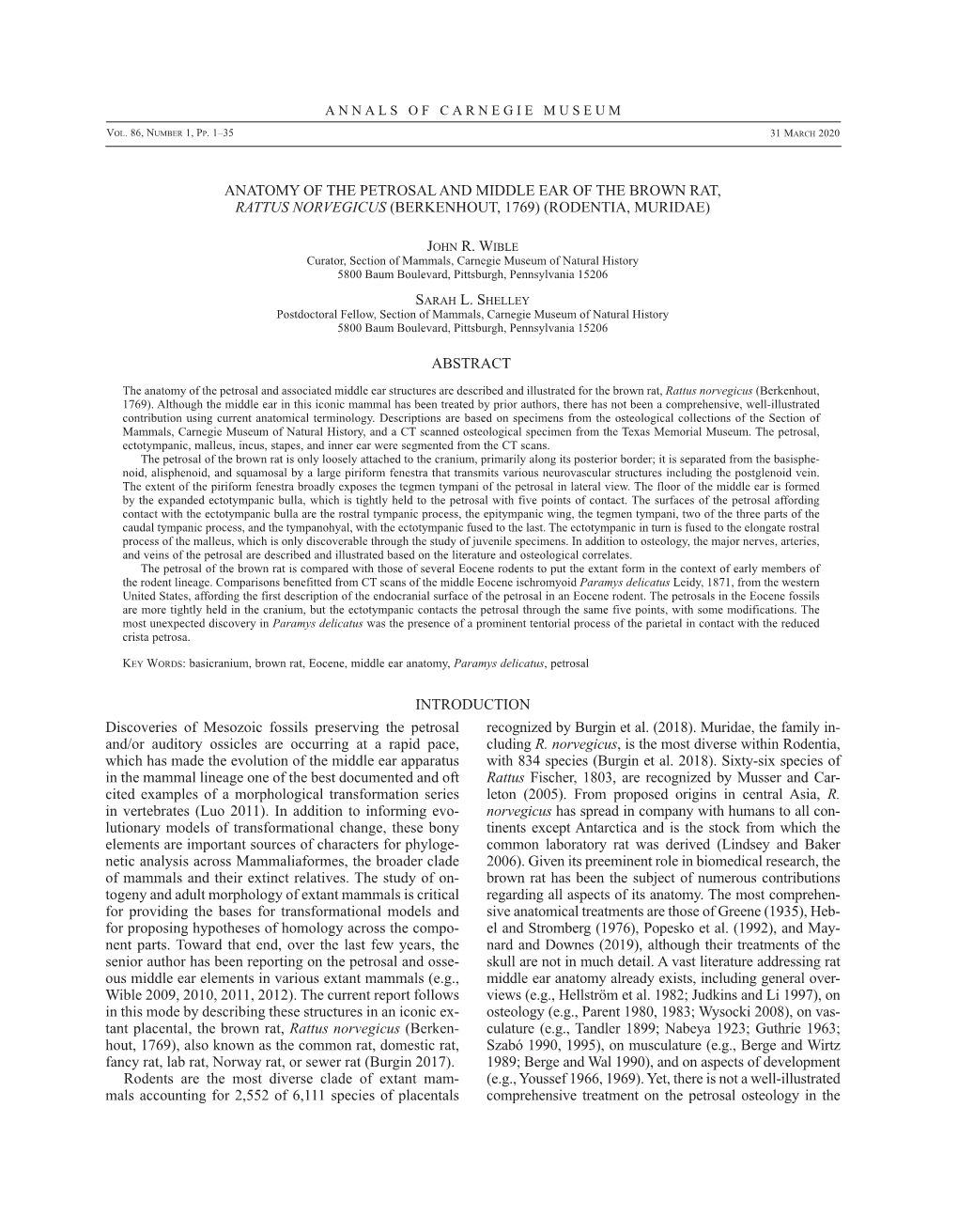 Anatomy of the Petrosal and Middle Ear of the Brown Rat, Rattus Norvegicus (Berkenhout, 1769) (Rodentia, Muridae)